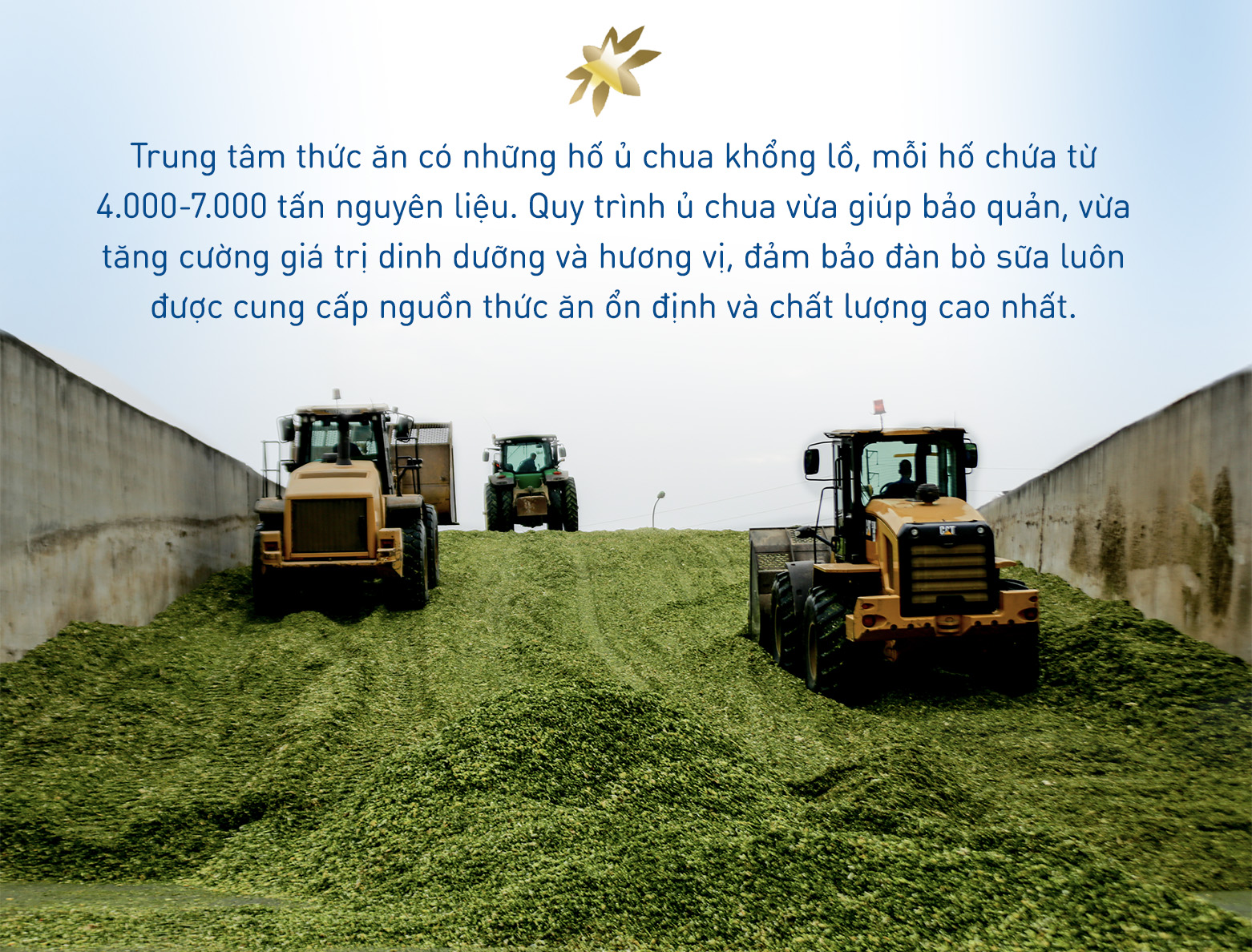 “Nhà bếp 5 sao” của những cô bò hạnh phúc tại trang trại TH- Ảnh 3.